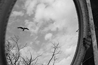 Animal Photograpy