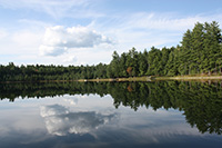 Nature Photograpy